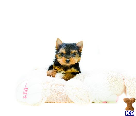addisongood Picture 3